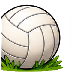 Cancha de Voleibol